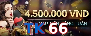 TK66